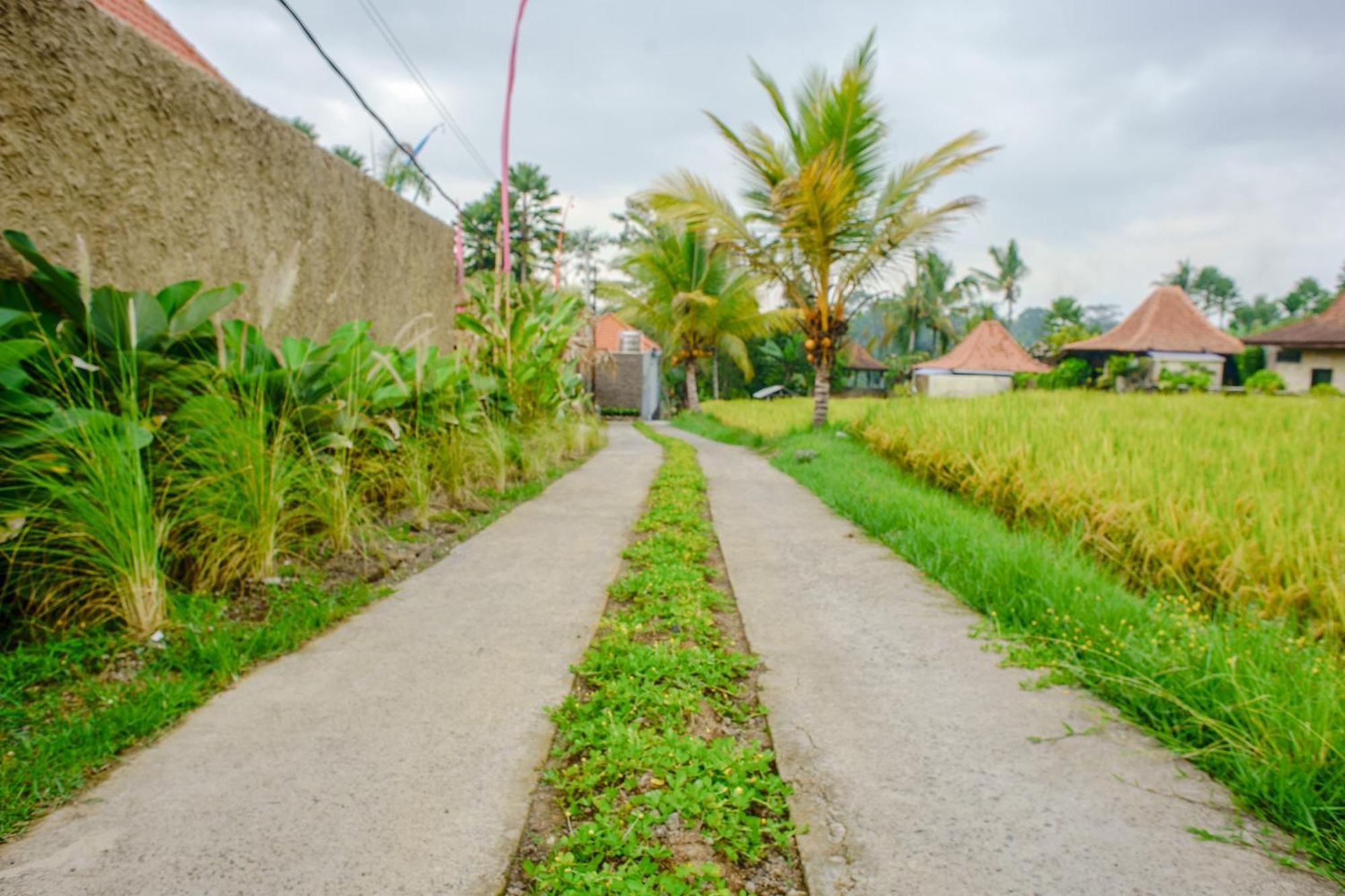 Umakelod Sebatu Villa Ubud Esterno foto