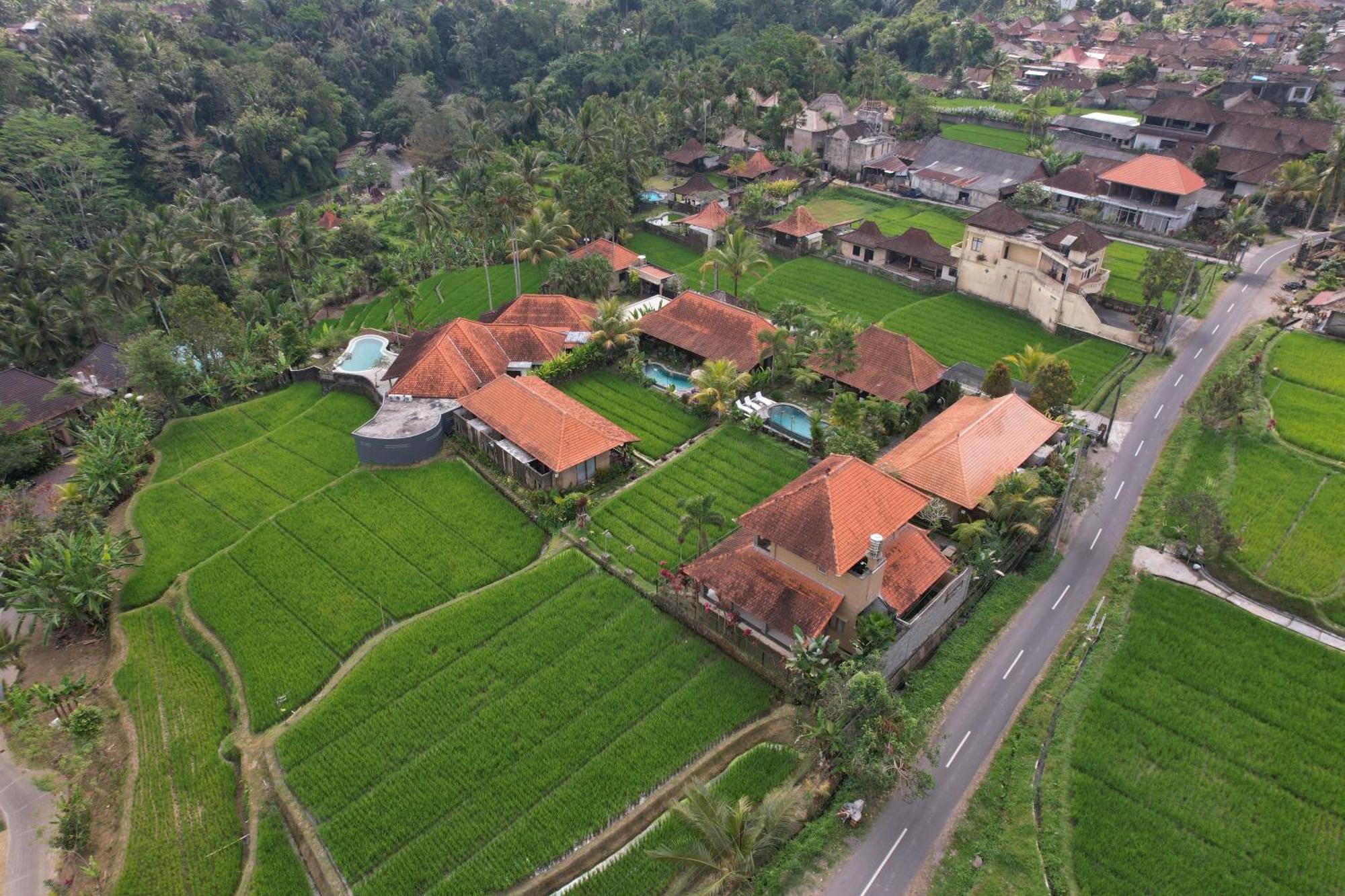 Umakelod Sebatu Villa Ubud Esterno foto