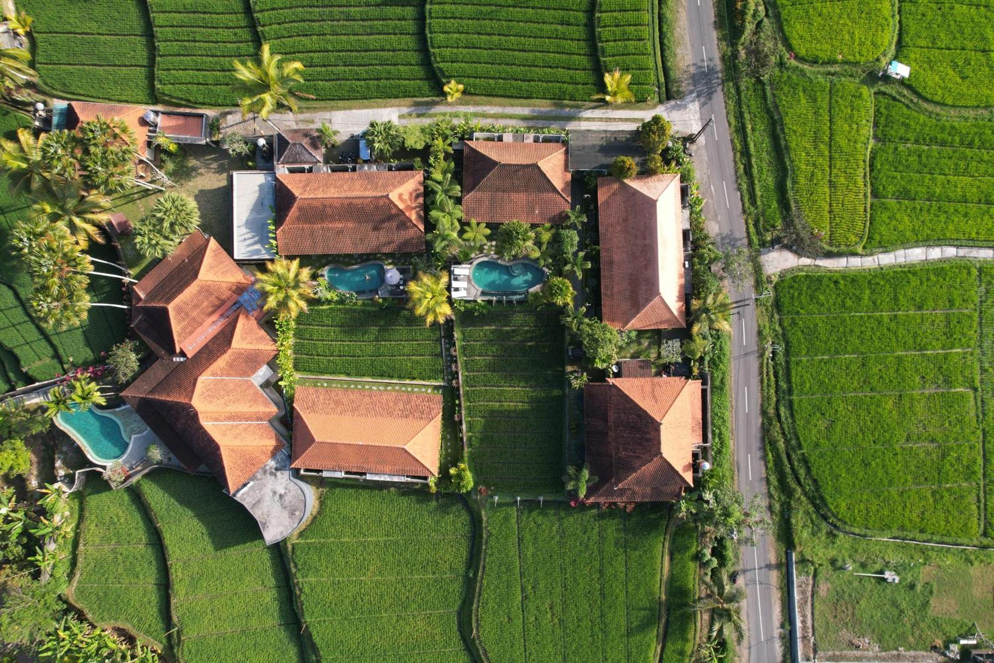 Umakelod Sebatu Villa Ubud Esterno foto